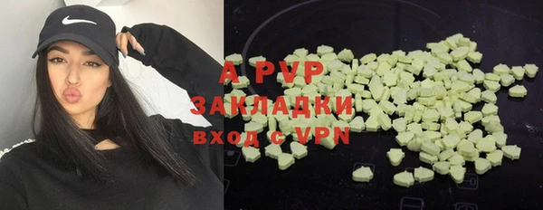 прущие грибы Козельск