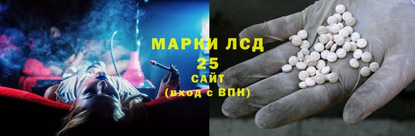 прущие грибы Козельск