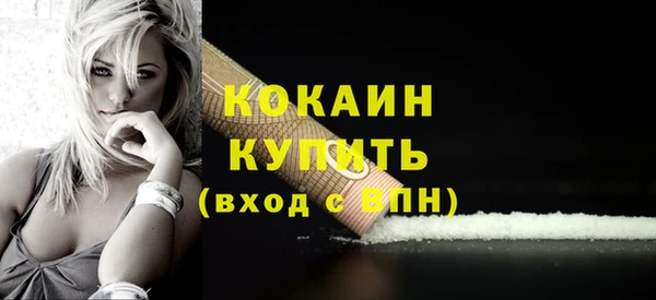 прущие грибы Козельск