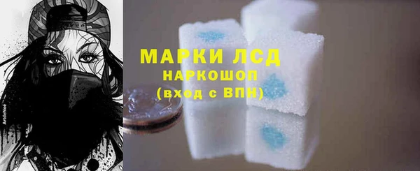 прущие грибы Козельск