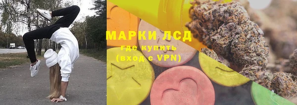 прущие грибы Козельск
