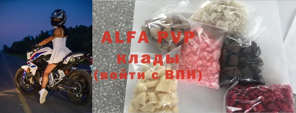 прущие грибы Козельск